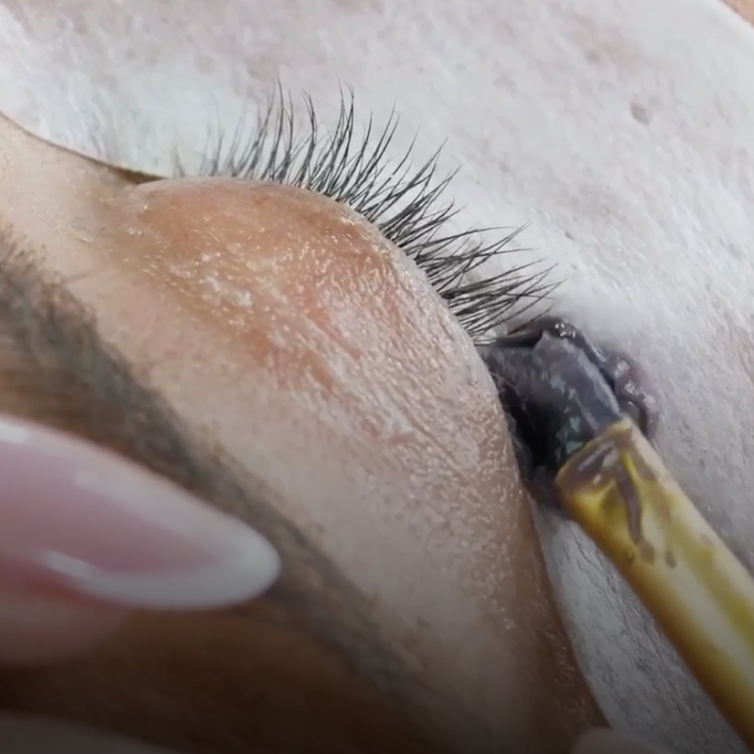 Online Lash & Brow Training Course