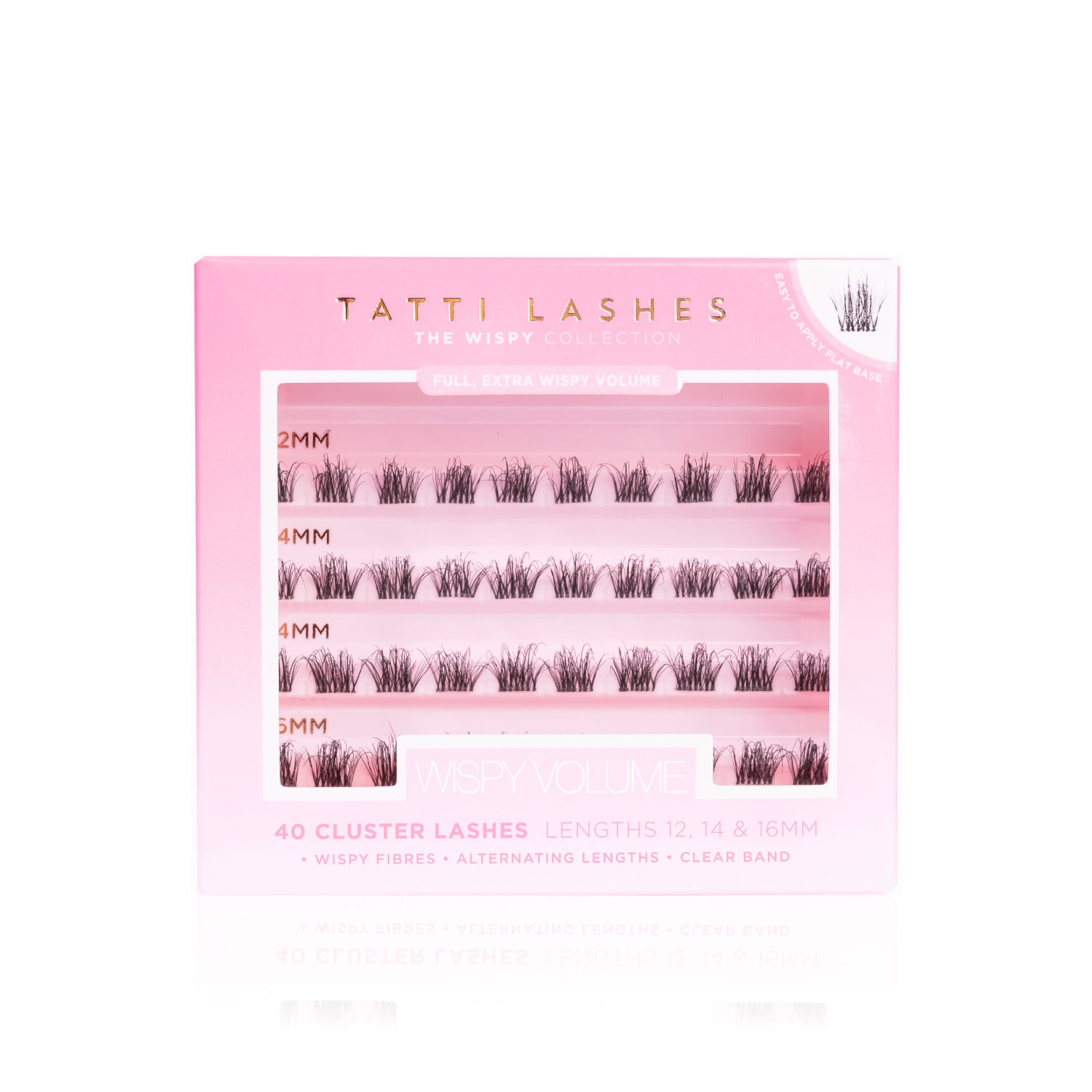 Euro Summer Lash Box