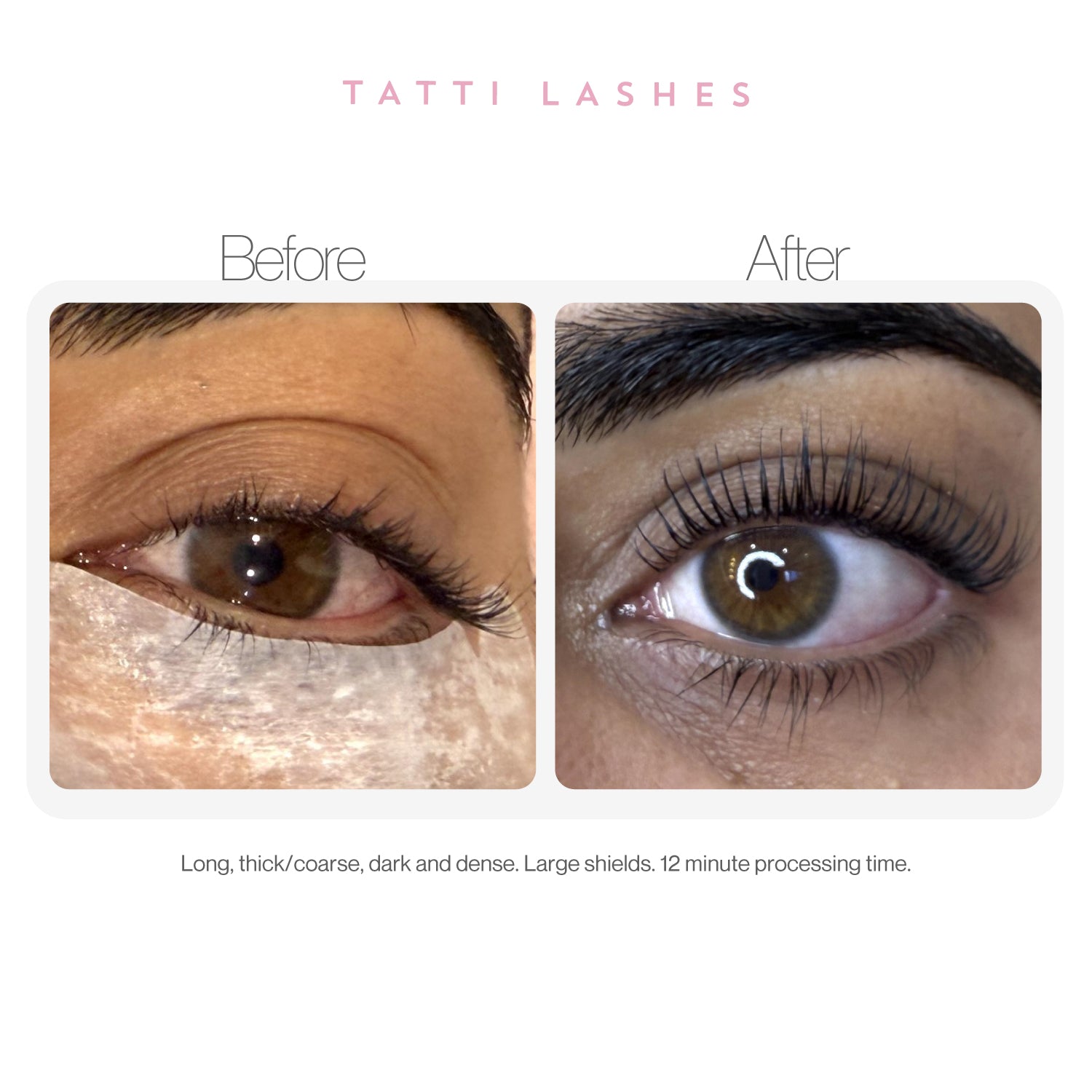 Lash & Brow Lamination & Lift Kit