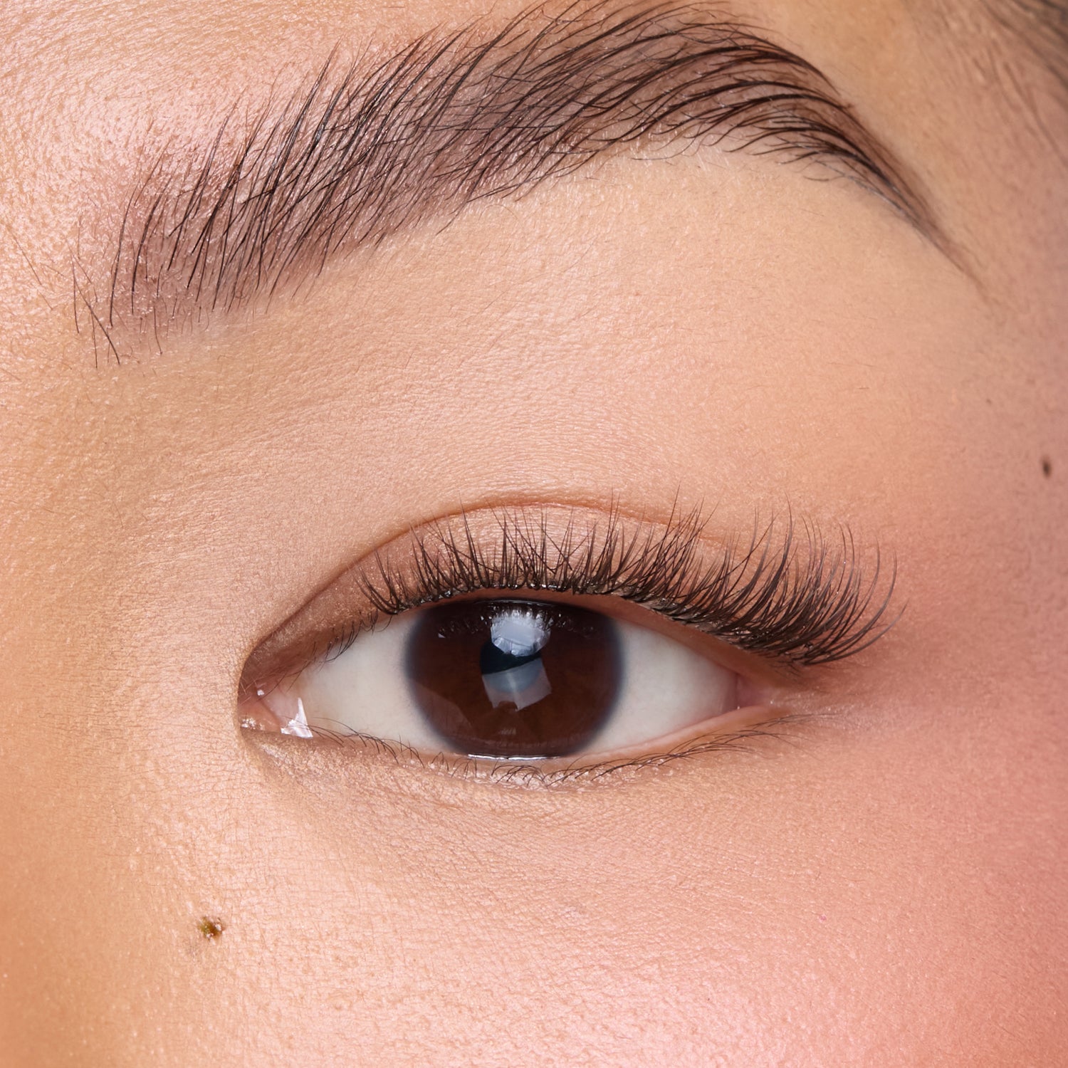 Petite Natural Pre-Glued