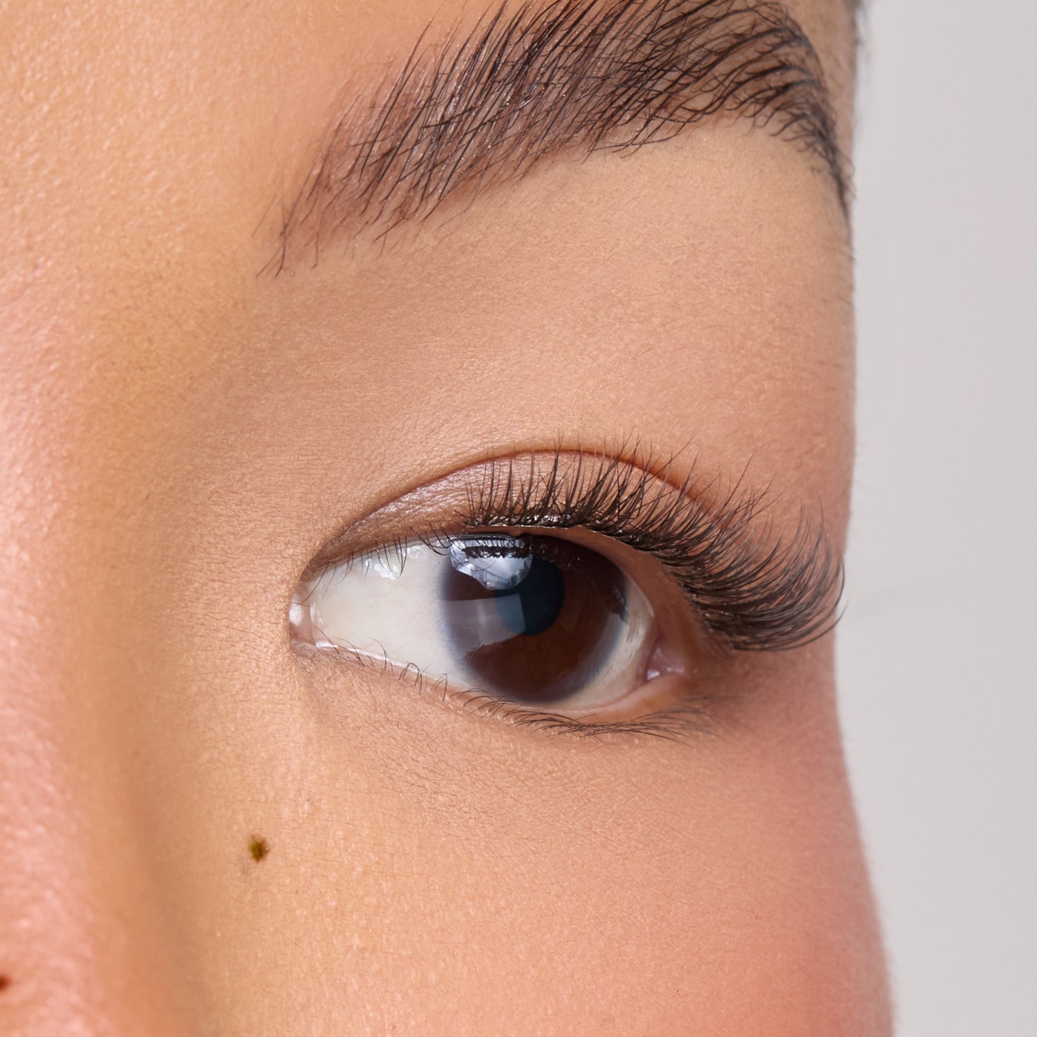 Petite Natural Pre-Glued