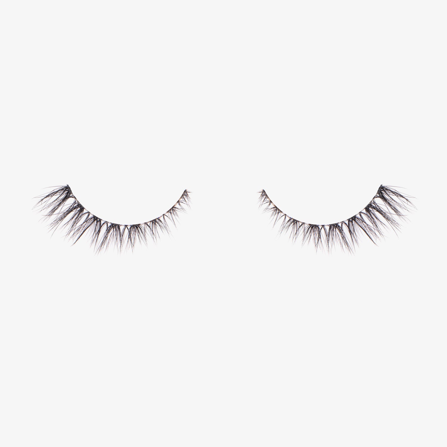 Lash Honour