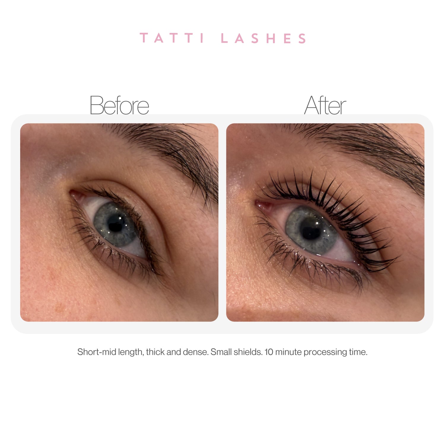 Small Lash Shields