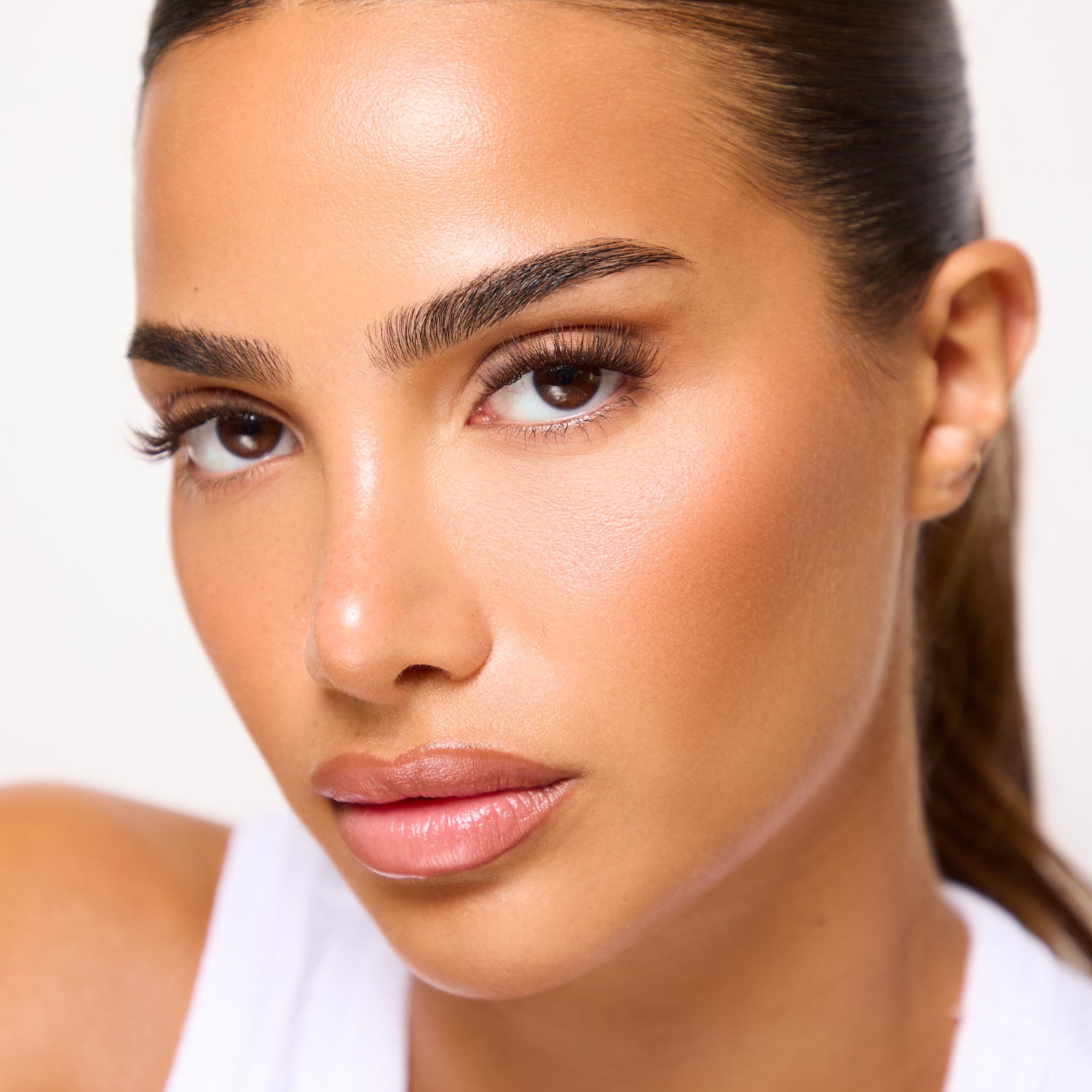 1-Step Press Chocolate Everyday Map