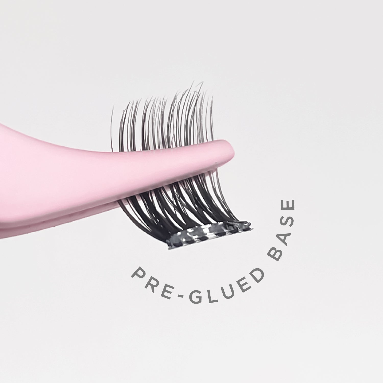 1-Step Press Chocolate Everyday Map