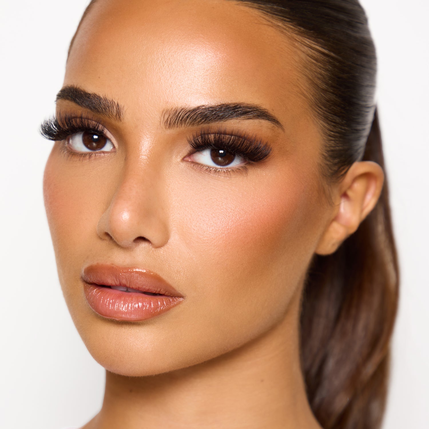 3D Luxury Lashes TL8